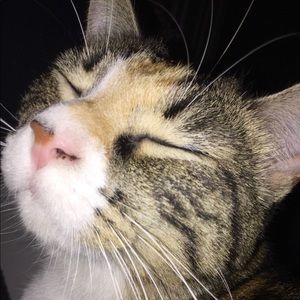 Meet your Posher, Caroline